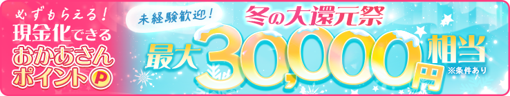 総額５００万円求人